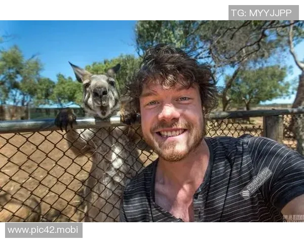 布朗：全队都在积极寻求与武切维奇的配合，帮助他建立默契